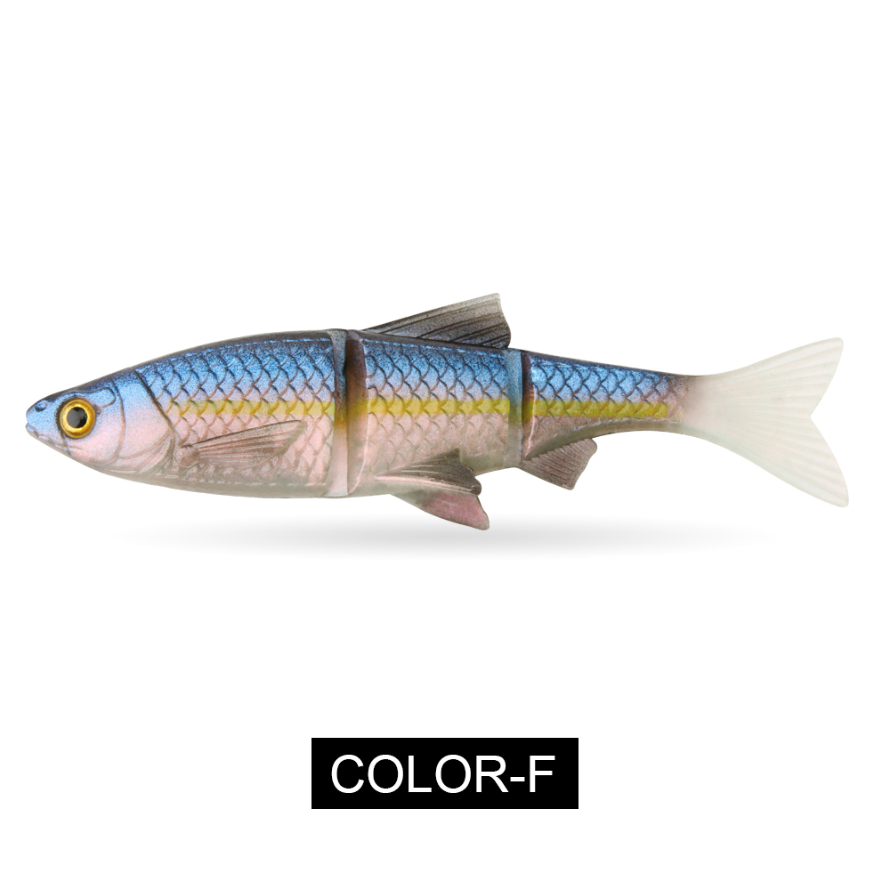 Multicolore-F
