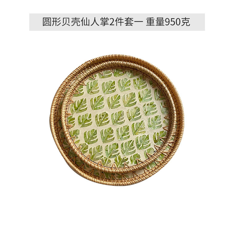 Ensemble de 2 cactus à coque ronde