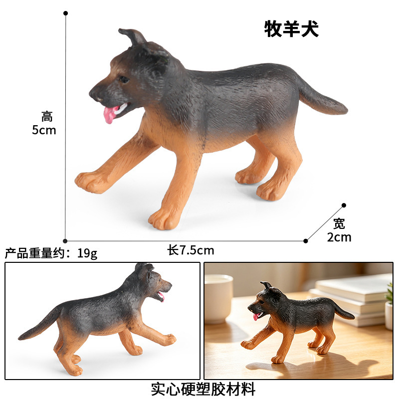 Chien de berger coloré 3595