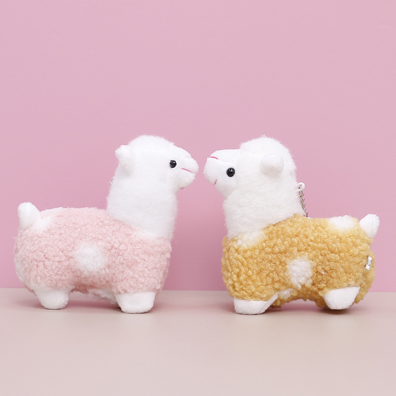 Alpaca