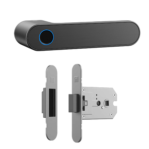 Acil pil gücü 5V tipi C otomatik Biom dijital anahtarsız giriş Wi-Fi Tuya akıllı kapı kilitleri için ahşap kapı - Product Image 1