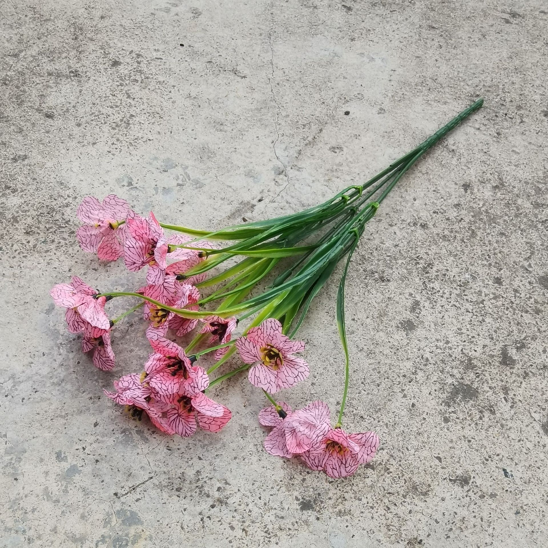 Rosa