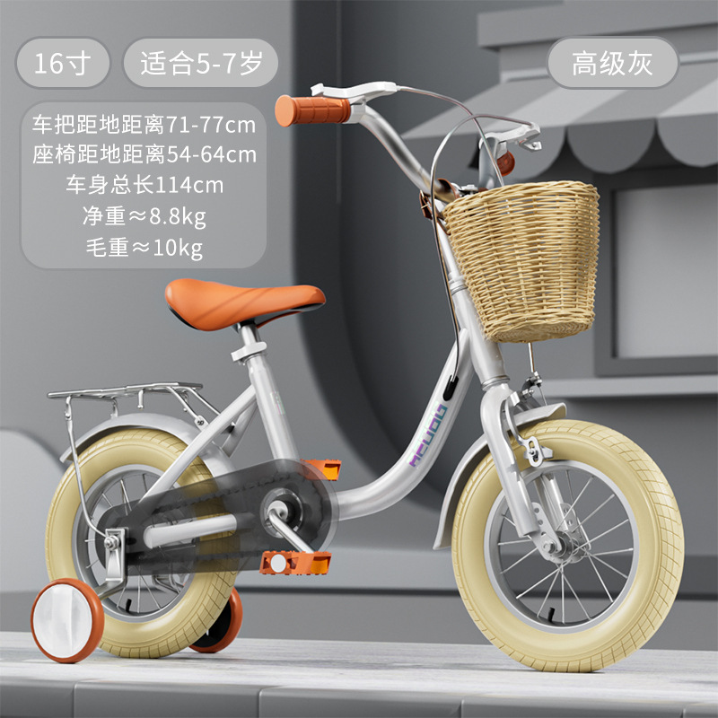 Premium gray luxury model