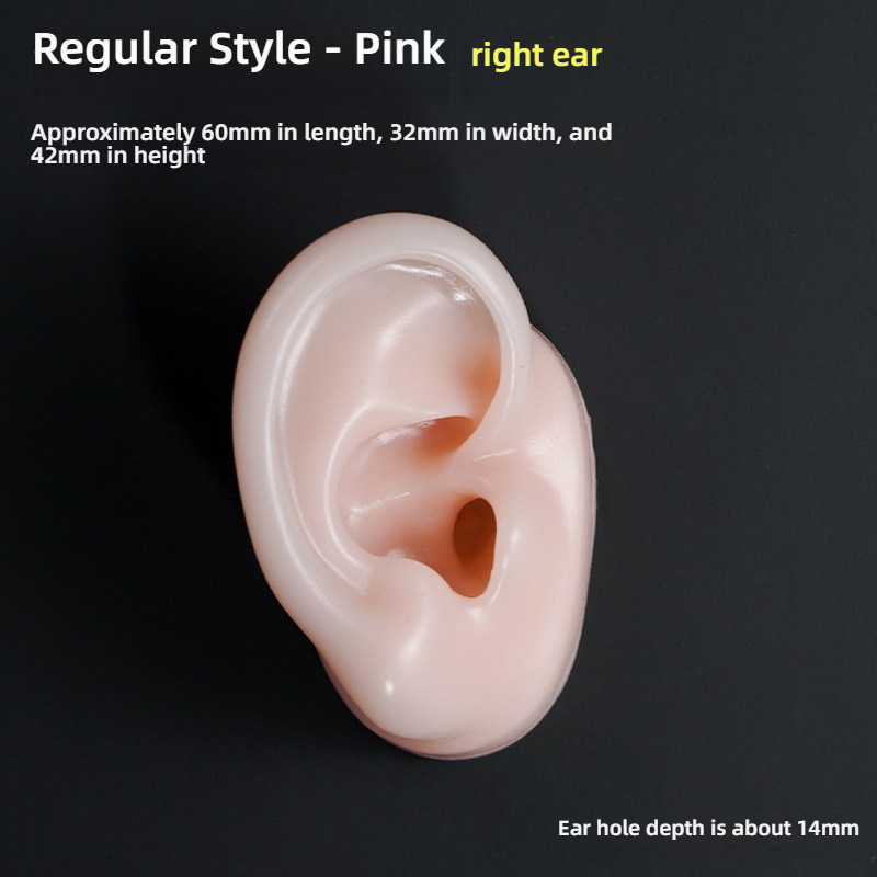 Oreille droite rose régulière