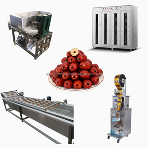 400kg datteri linea di lavorazione per il lavaggio e l'asciugatura Palm Iraq data Sorting classificazione linea di selezione datteri rossi linea di produzione di pasta - Product Image 5