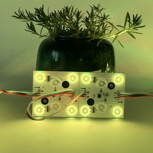 Adresli RGBW 24V LED modülü TM1814 4in1 24V dijital IC progaramdream RGBWIC yüksek CRI 90 4-in-1 rüya renk aydınlatma için - Product Image 5