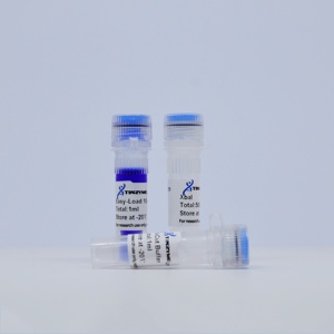 Tinzyme XbaI Restriction Endonuclease Suitable for Rapid Enzymatic Digestion of Plasmid DNA, PCR Products, or Genomic DNA. - Product Image 1