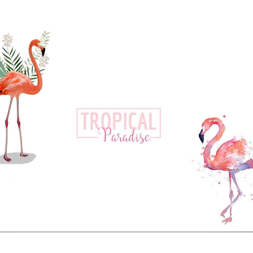 Flamant rose