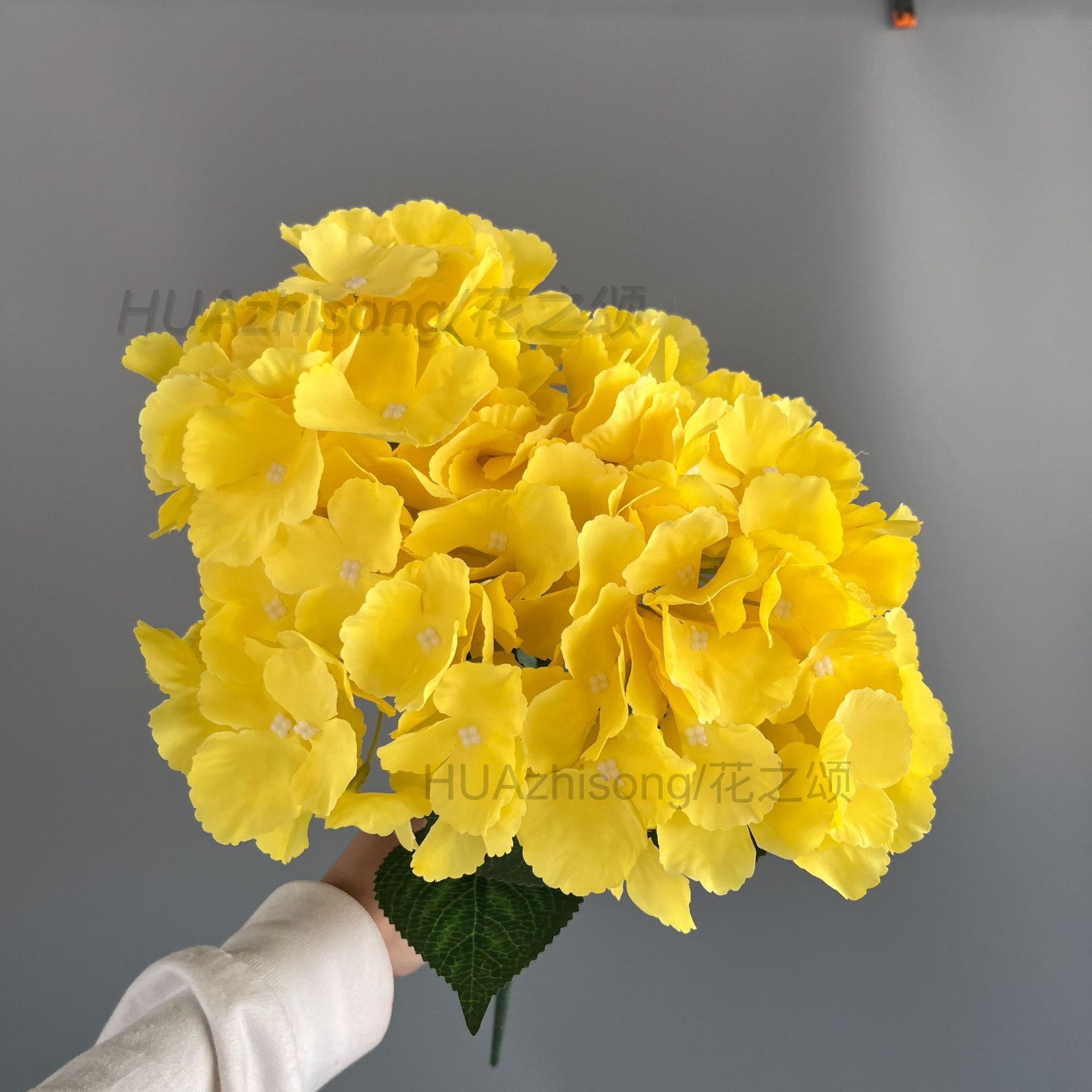 Giallo