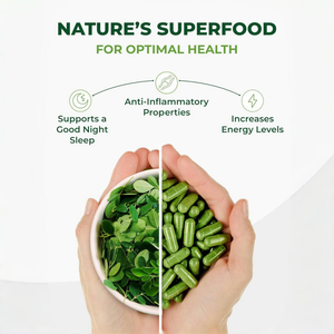 Hot-selling OEM/ODM Natural Organic Moringa Cápsulas Suplementos Herbais 60 Cápsulas Por Garrafa - Product Image 4