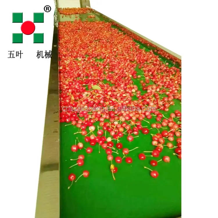 Iqf Voedselverwerkende Machine Iqf Bevroren Aardbei Groente Fruit Vriesmachine Bevroren Fruit En Groente Lijn