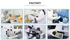 Finetest RAT Dao ELISA Kit สารเคมีชุดทดสอบ diamine oxidase ความไวสูงการวิจัยทางวิทยาศาสตร์ - Product Image 5
