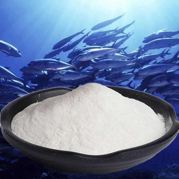 Meilleurs produits de collagène kasher hydrolyse multi peptides de collagène poudre collagène d'escargot et de poisson à boire