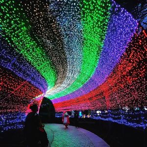<strong>DMX512</strong> Control Programmable 220V Christmas Decoration Festival Landscape IP65 <strong>LED</strong> Fairy Outdoor <strong>String</strong> <strong>Light</strong> - Product Image 4