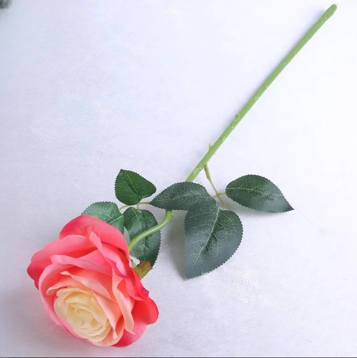 #7 roses rouges