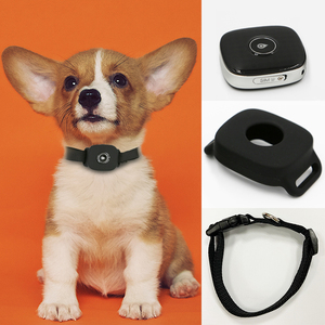Anti Lost Pet Gps Tracker 4G Micro Gps Trackiong Device con batería de larga duración Nano Sim Card - Product Image 5