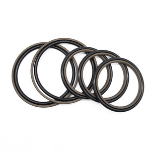 Con Dấu Cần Gạt Nước Con Dấu Cần Gạt Nước Bằng Khí Nén PTFE GSJ - Product Image 1