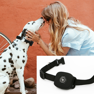Peso ligero 4G Mini Gps Tracker para perros Gatos Micro Gps dispositivo de seguimiento con batería de larga duración - Product Image 6