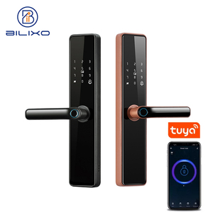 Blocco intelligente con impronta digitale biometrica con codice di controllo remoto Wireless per APP Wifi Tuya