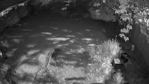 Telecamera Bullet 5MP locale supporto di sicurezza del veicolo umano di rilevamento costruito in Mic H.265 + IP67 telecamera IP - Product Image 3