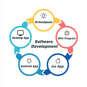 Web-App-Entwicklung Webdesign Benutzer definiert Erstellen Sie Ihre eigene proprietäre Software und App