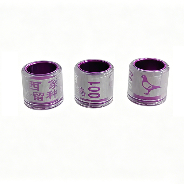 Weston morado