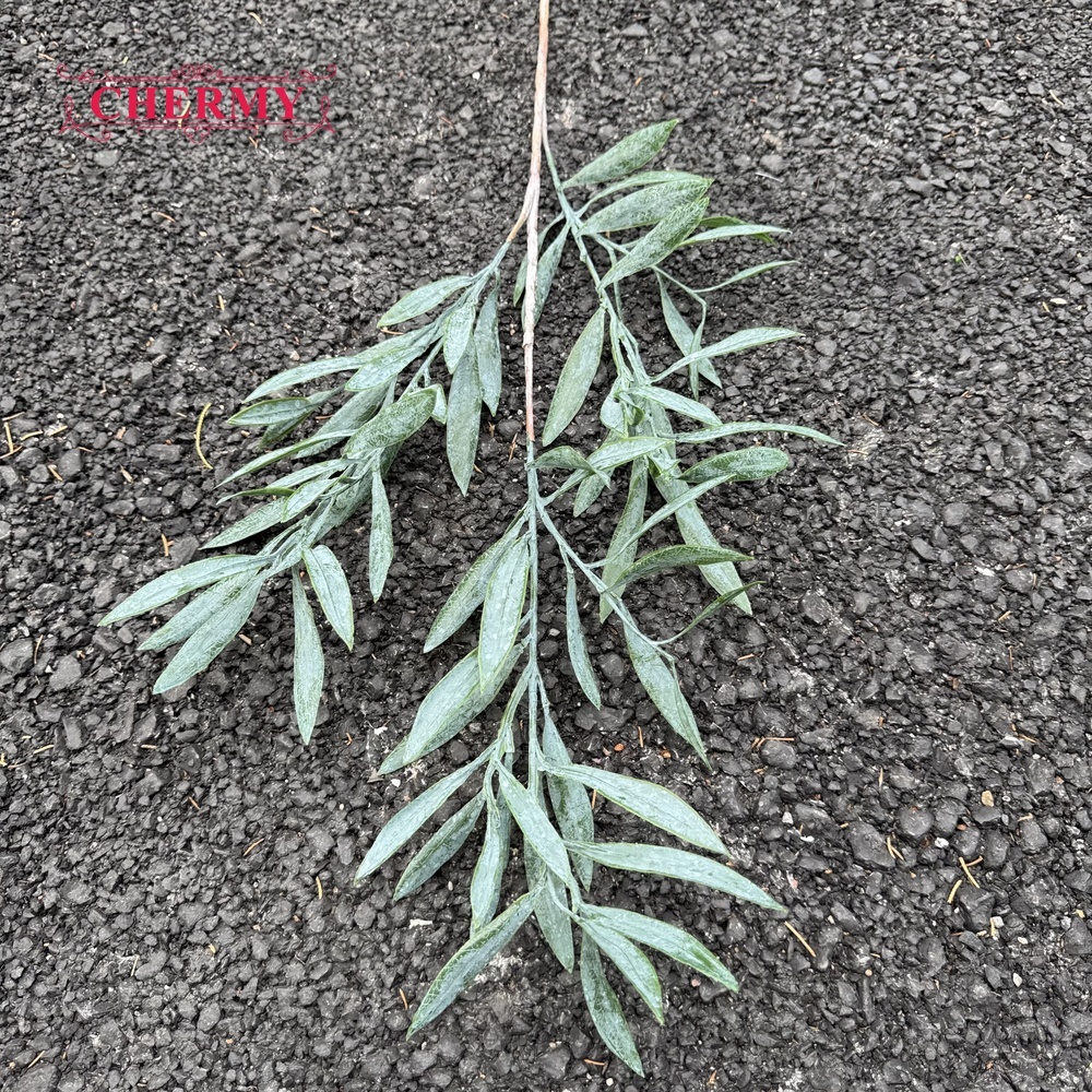 #6 Plantes Vertes Feuilles d'Olivier - 82cm