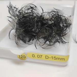7D 8D 12d promade נפח מאוורר ריס הארכת 20d רוסית נפח 0.05 0.07 C D רופף מאוורר ריסים