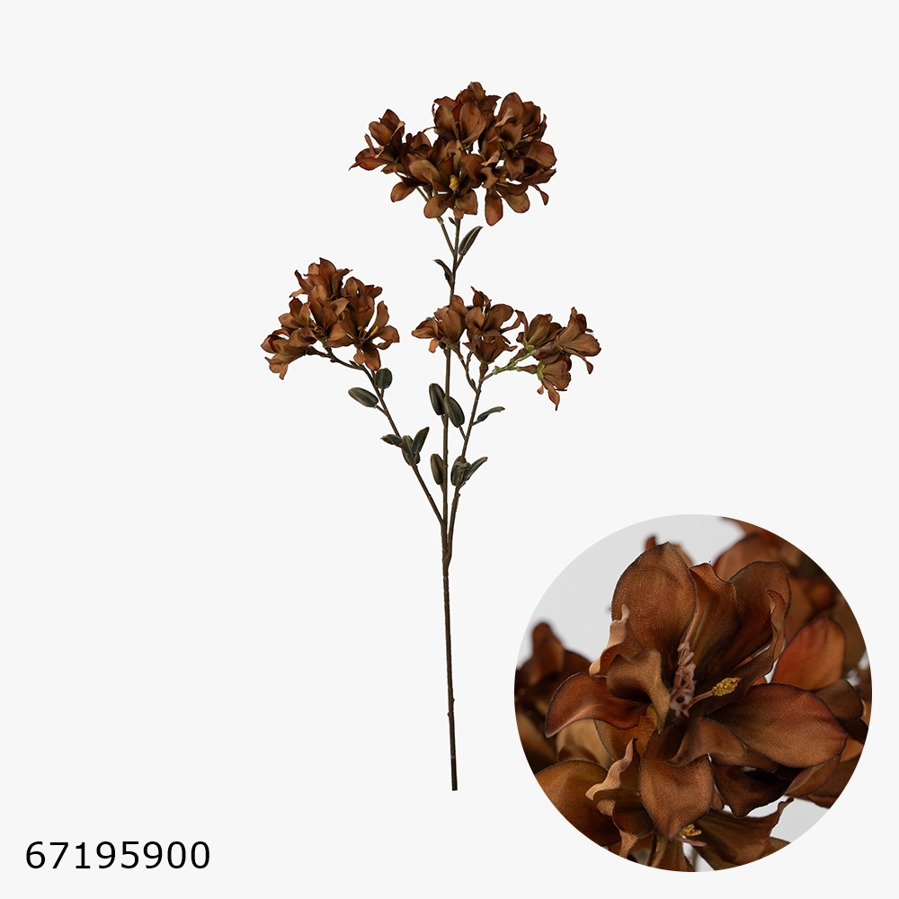 67195900