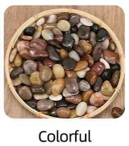 Colorido