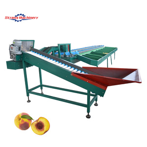 Máquina clasificadora de peso de báscula de pesaje automática - Product Image 1