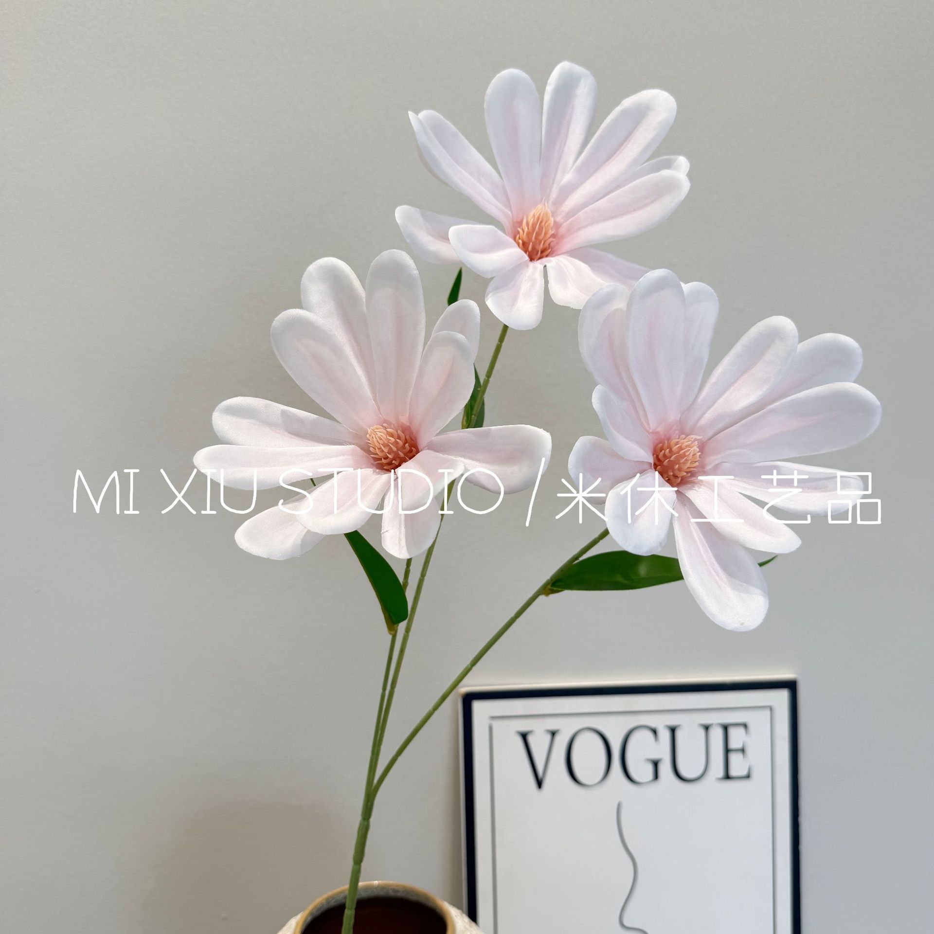Magnolia fortunei