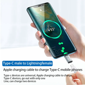 迷你铝制C型公到8针母连接器适配器Usb C USB C到8针适配器转换器 - Product Image 4