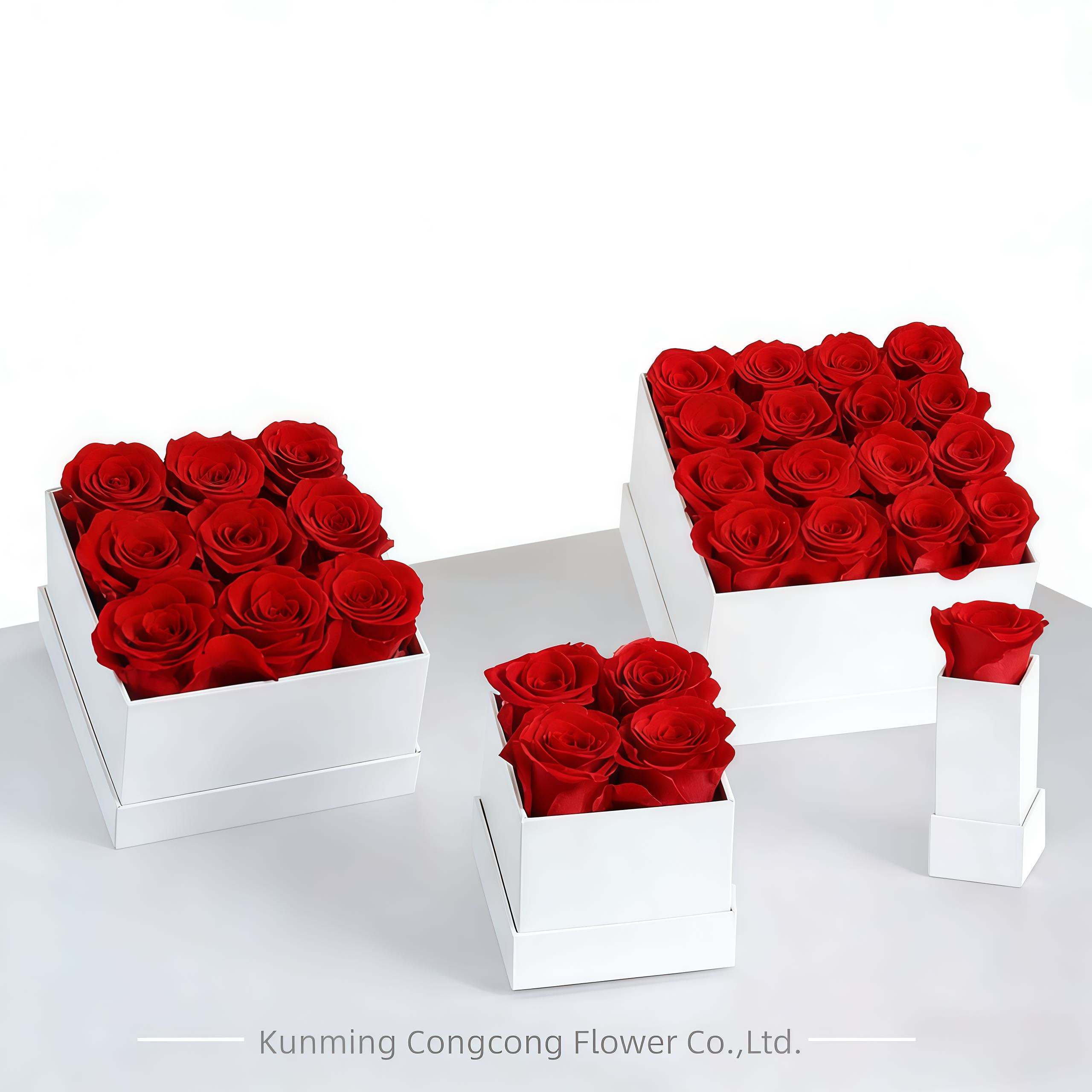 1 rose rouge dans une boîte carrée