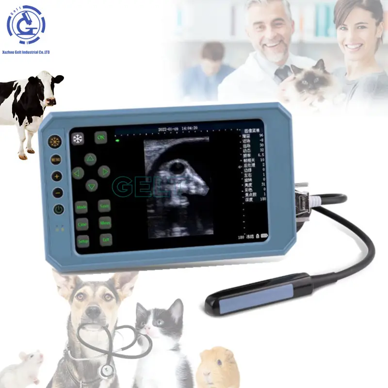 Prueba de embarazo de vaca oveja cabra de mano ultrasonido veterinario digital