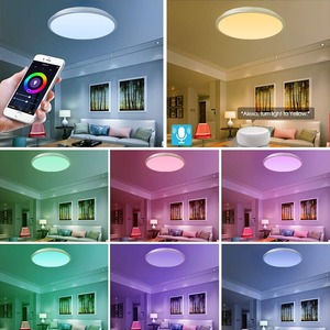 WIFI akıllı fikstür 24W RGBCW renkli yuvarlak dim ses uzaktan kumanda LED tavan ışık - Product Image 3