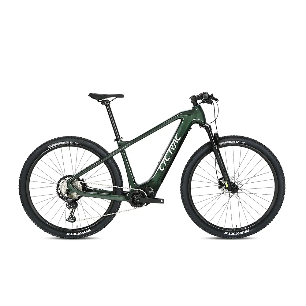 Prezzo economico 13A 250W 10 velocità bicicletta in carbonio bici elettrica mountain