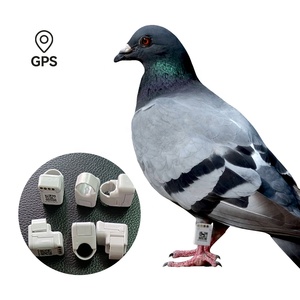<strong>Gps</strong> <strong>tracker</strong> Download APP View Real-time Location of the Current Phone Historical Track Within 3 Months - Product Image 1