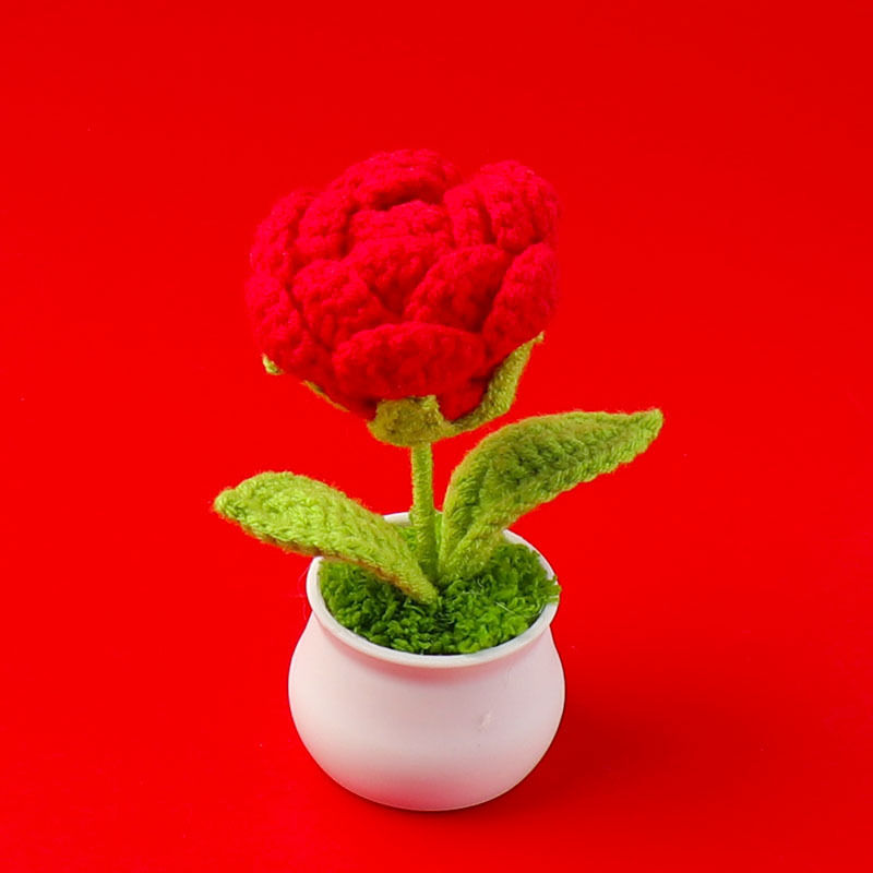 Finished red rose (large size) small potted plant