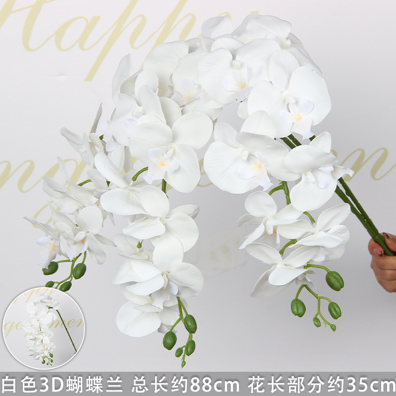 Orchidée Phalaenopsis blanche à 9 têtes (imprimée en 3D)