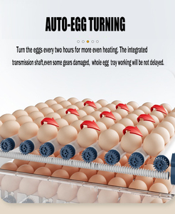 <strong>Automatic</strong> 36 Chicken Egg Incubator with High Hatching Rate Duck Goose Quail Pigeon Turkey New PP Material 220V Motor Farm <strong>Use</strong> - Product Image 4