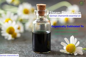 HL- Pure Natural Flower <strong>Huile</strong> Essentielle Bio Supplier, 10ML, Bulk Blue German Chamomile Essential Oil (new) for Perfume Making - Product Image 2