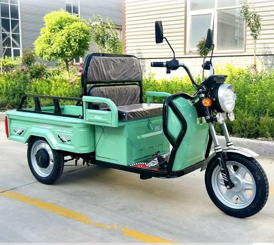 Hot Sale Cheap e-trikes 3 wheel cargo electric tricycles motorcycle adult Electric Tricycle Mobility Scooter 48V 600W motor
