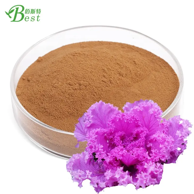 Factory supply purple kale extract powder wholesale top quality kale extracts 10:1