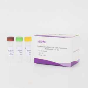 At herpesvirüs 1 ve 4 PCR kiti-gerçek zamanlı dubleks test, veteriner laboratuarları için yüksek hassasiyet - Product Image 1