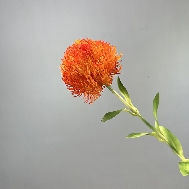 Arancione