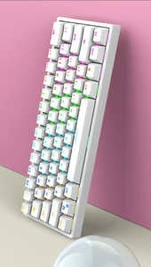 2023 OEM Dual Model Mechanical <strong>Keyboards</strong> 108 <strong>Keys</strong> <strong>Custom</strong> Hot Swappable Lower Profile Mechanical Gaming <strong>Keyboard</strong> - Product Image 3