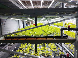 Lyine kích thước tùy chỉnh 2x4 3x3 <span class=keywords><strong>EBB</strong></span> và bảng dòng chảy thủy canh <span class=keywords><strong>EBB</strong></span> và bảng dòng chảy phát triển khay để bán - Product Image 4