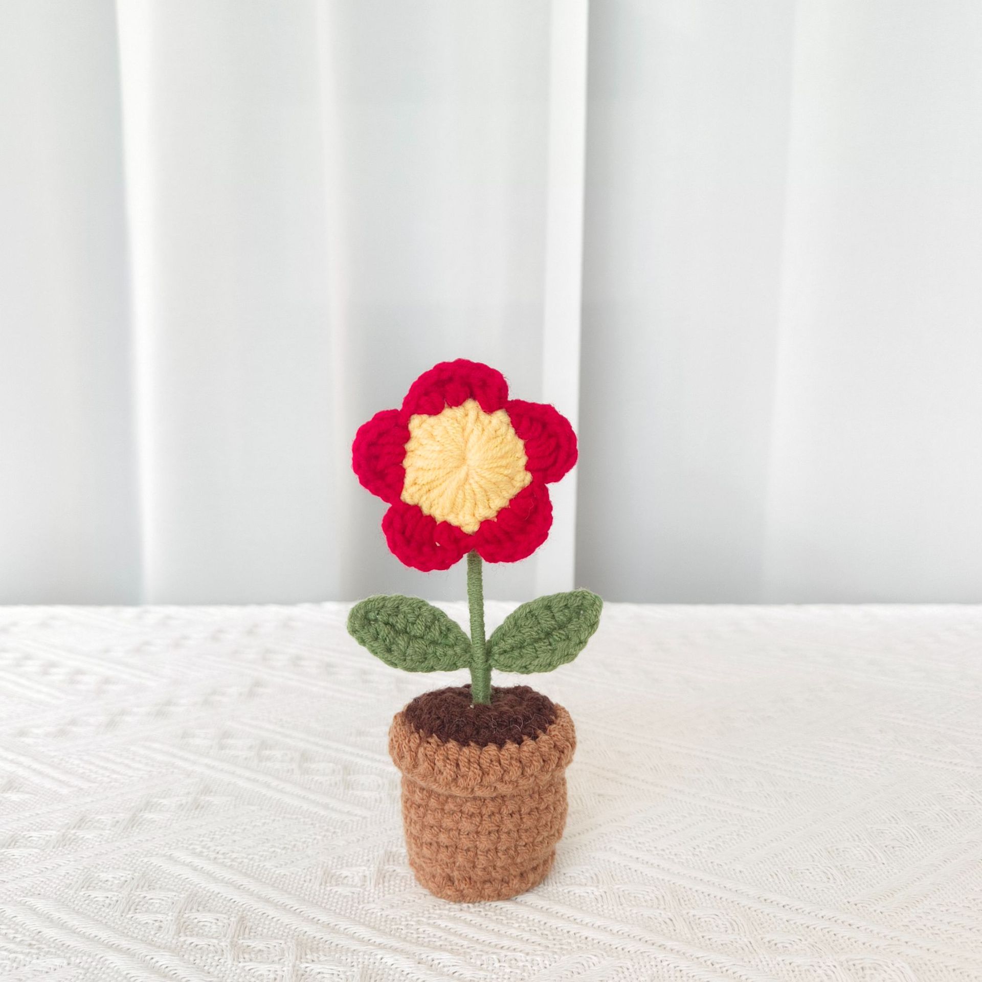 red A small safflower potted plant
