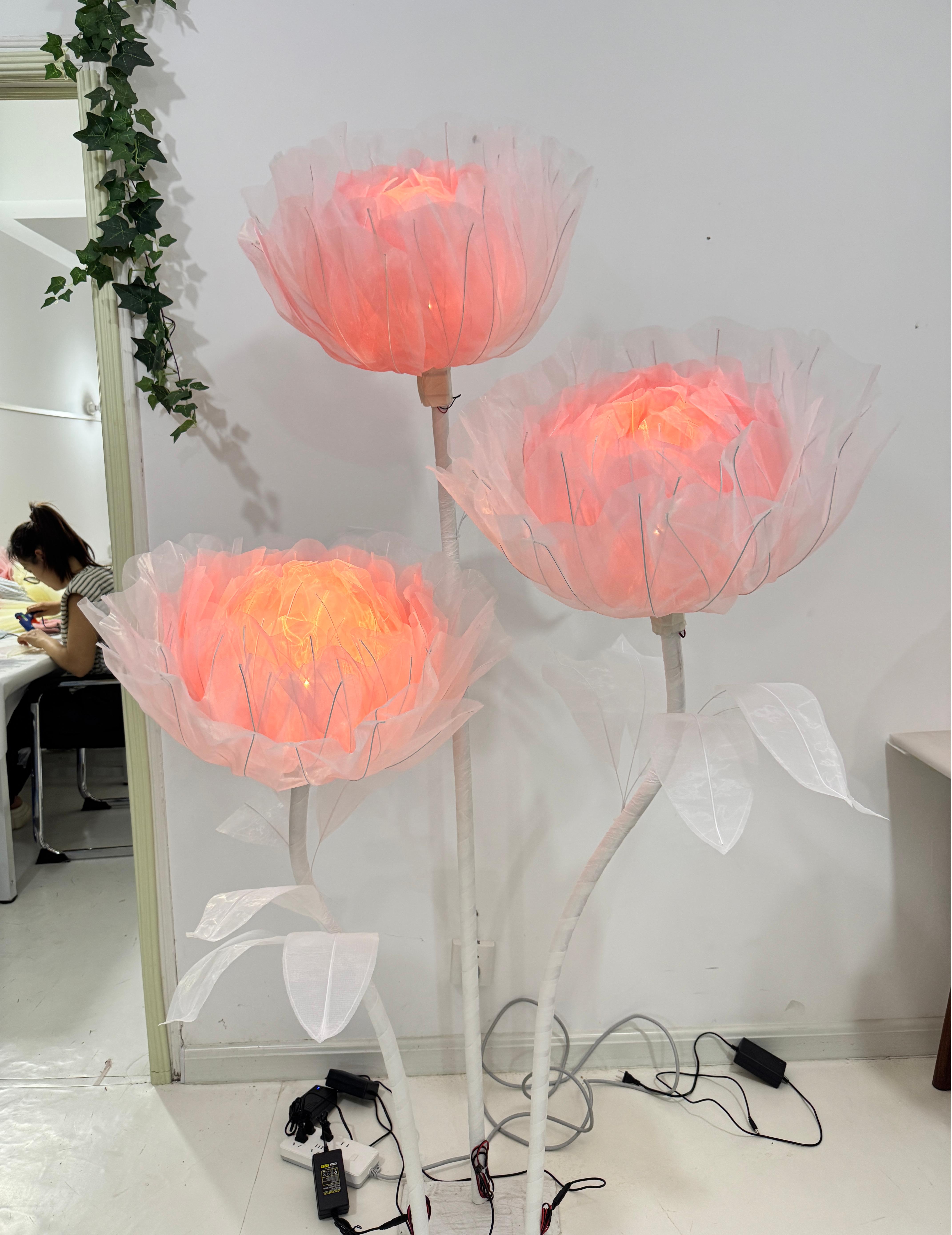 50 cm de diamètre